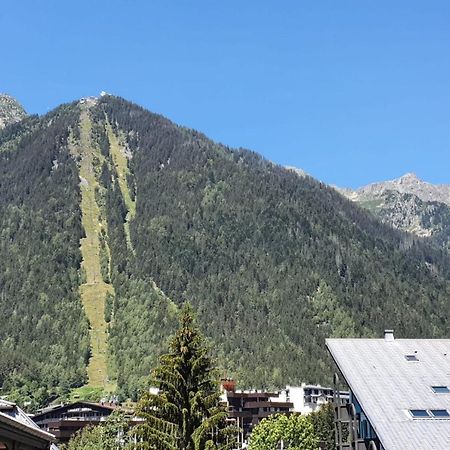 Nice 32M With Balcony View On The Mountain Chamonix Exteriör bild